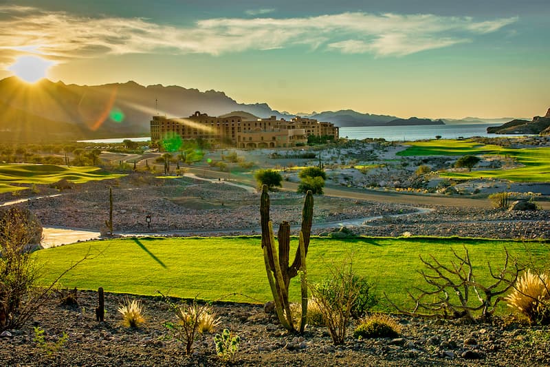 cactus cardón en danzante bay loreto