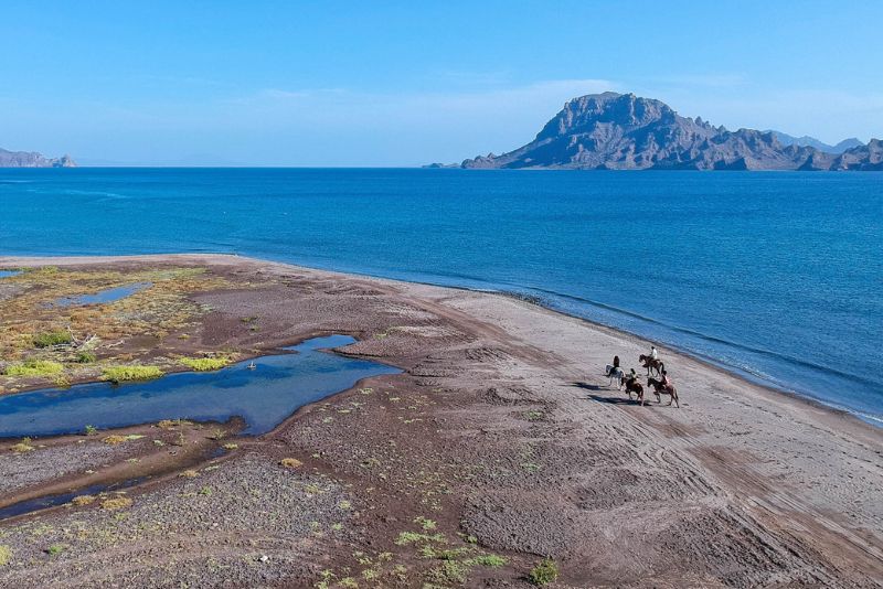 horseback ride tour loreto baja california sur