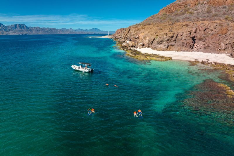 snorkeling tour danzante and carmen island loreto baja california sur