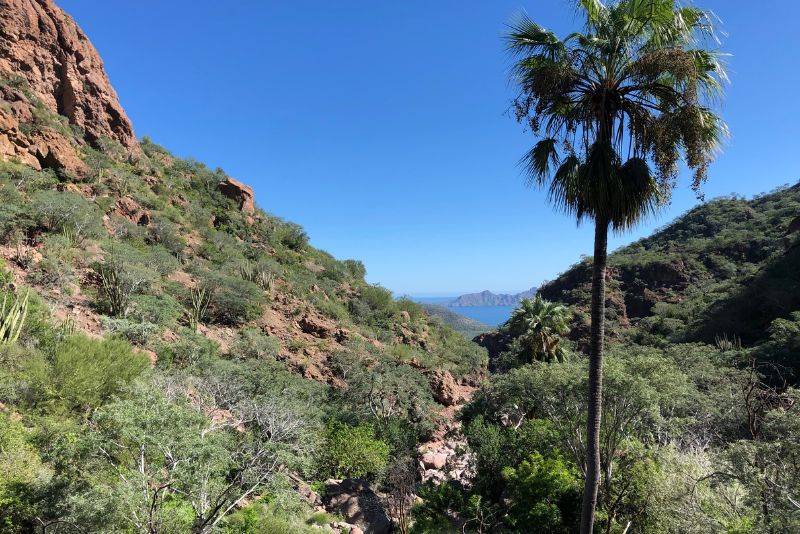 tabor canyon hike loreto baja california sur