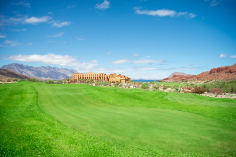 tpc-danzante-bay-faqs