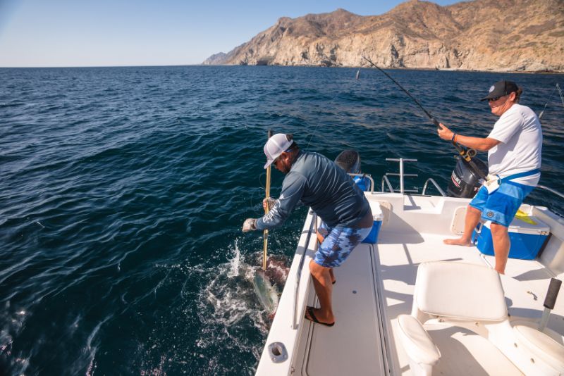 fishing loreto style tour by danzante tours