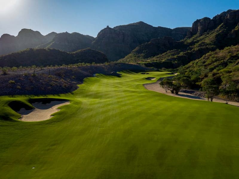 cesped paspalum en campo danzante bay