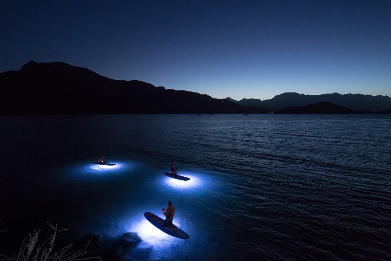 twilight led paddle board tour danzante tours