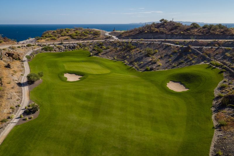 Paspalum: La Hierba de Césped Ideal para el Clima de Loreto