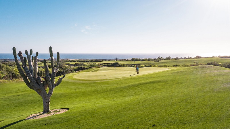 El Cardonal golf course los cabos