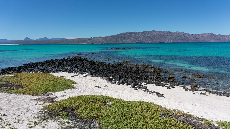isla coronado en Parque Nacional Bahía de Loreto, B.C.S.
