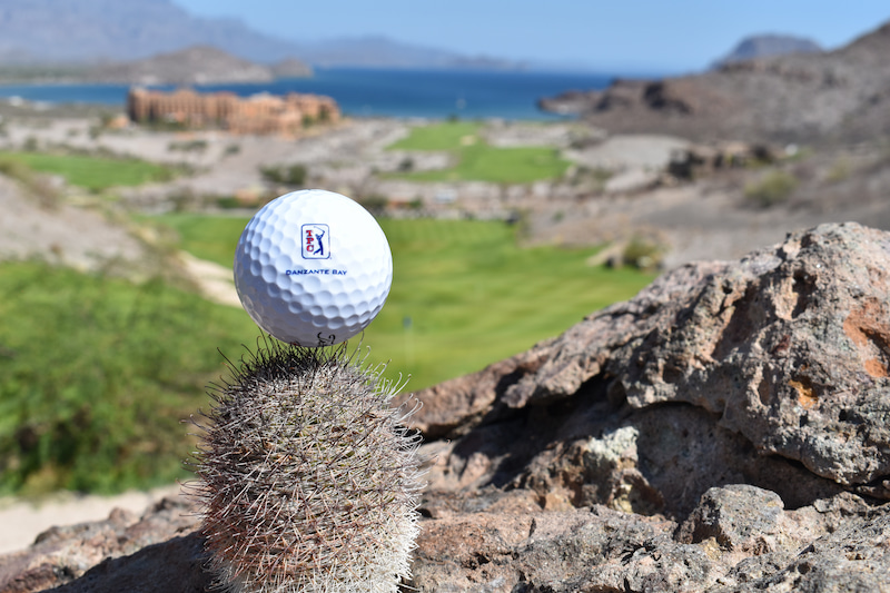 pelota de golf de tpc danzante bay