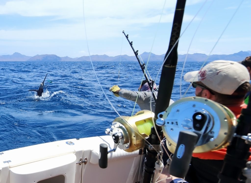 guia-completa-para-unas-vacaciones-de-golf-en-loreto-