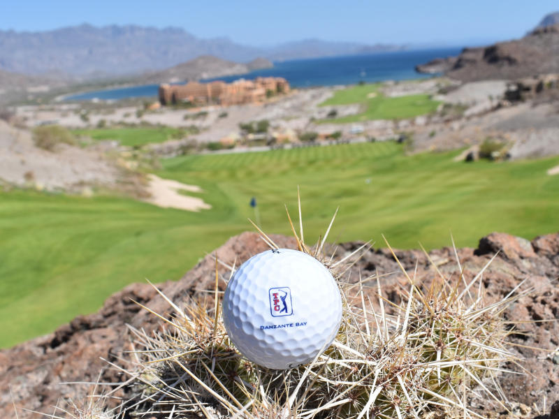 Introducing the New TPC Danzante Bay Online Store!