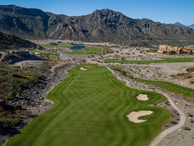 Distractions – Nature’s Wonders Along Danzante Bay’s 18 Holes