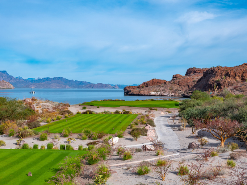 TPC Danzante Bay’s Dazzling 18 – An Alternative to Cabo San Lucas Golf