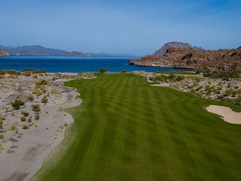 Par Fives that Mesmerize