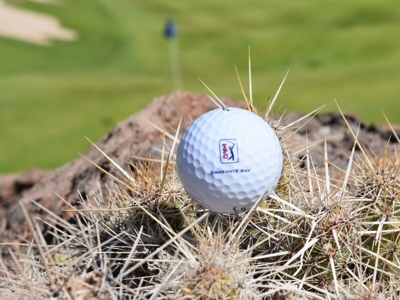 Cactus on the Course